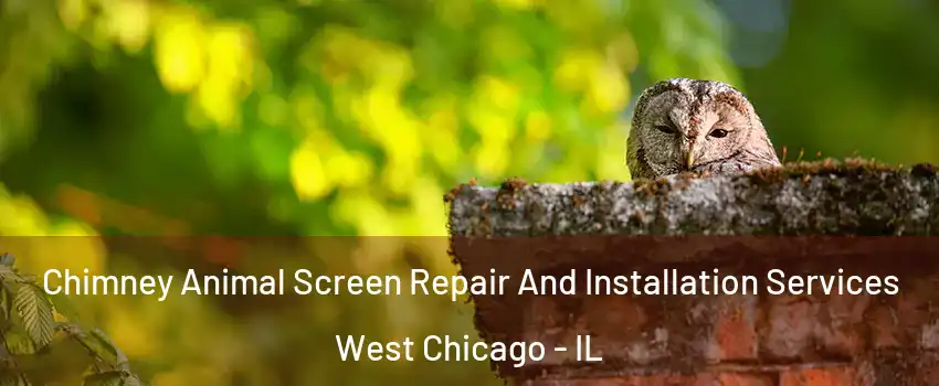  Chimney Animal Screen Repair And Installation Services West Chicago - IL