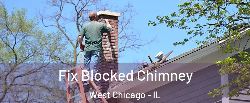  Fix Blocked Chimney West Chicago - IL